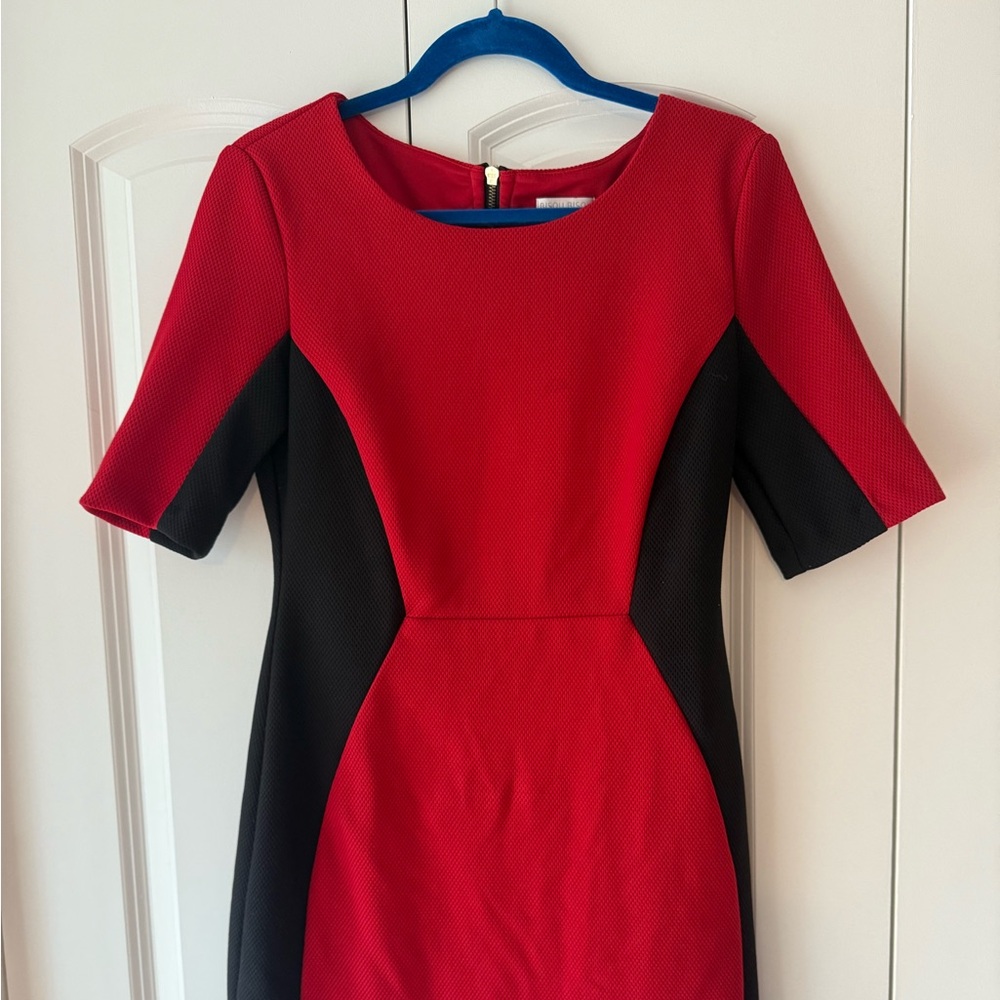 BISOU BISOU Business Dress.
